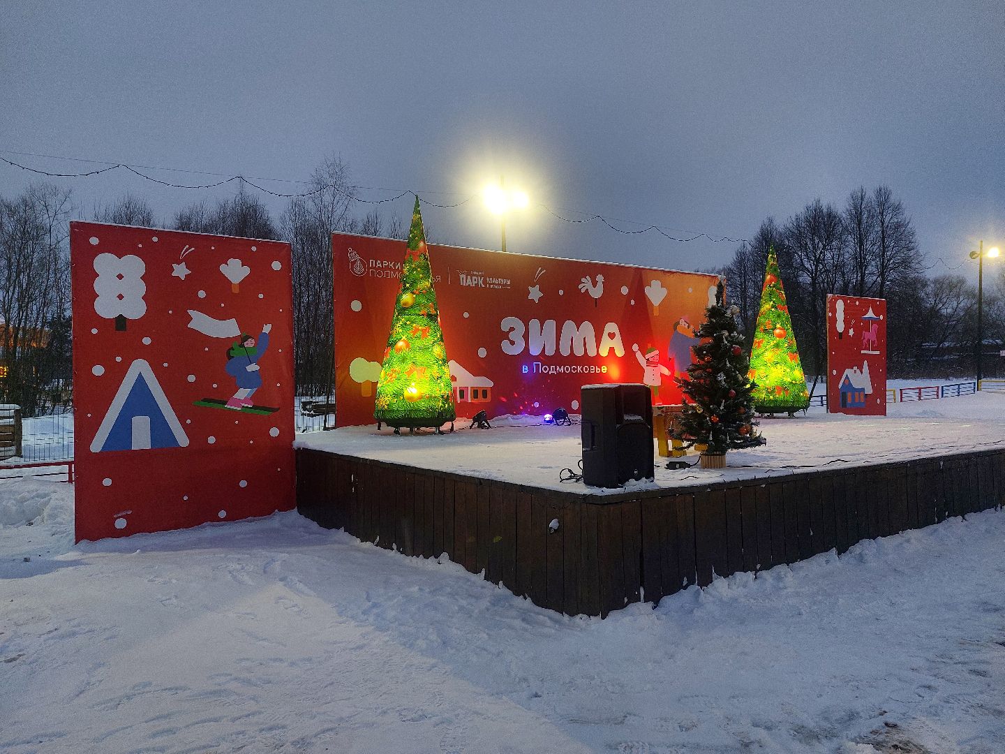 Культура, Городской парк, зима в подмосковье,