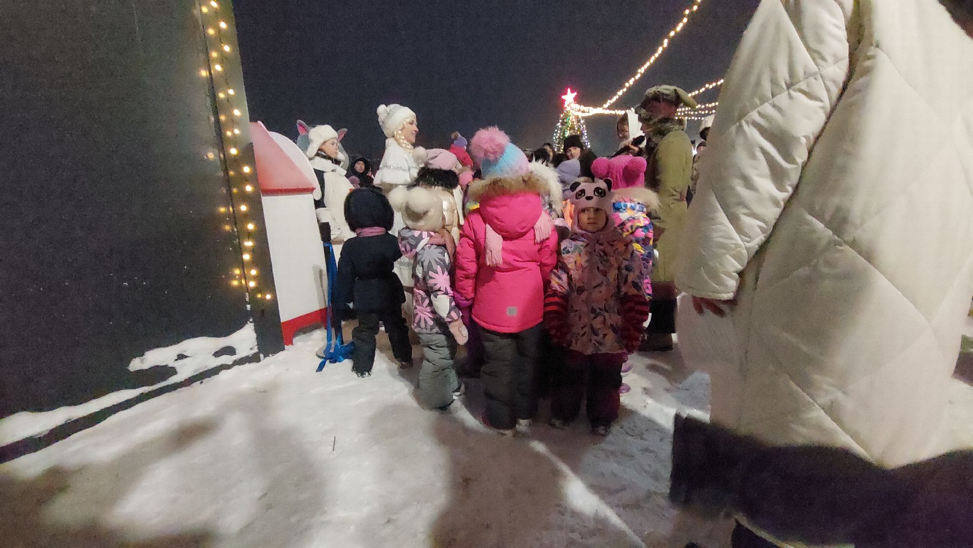 Культура, Городской парк, зима в подмосковье,