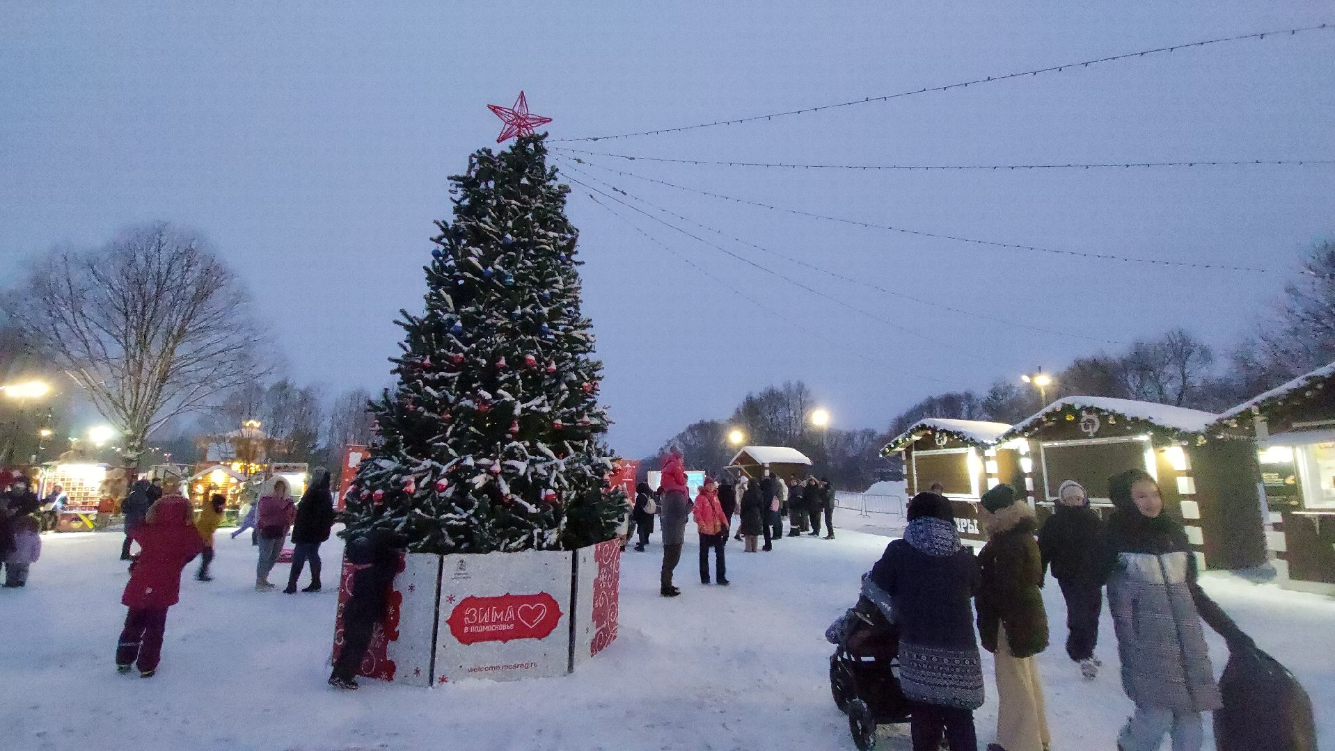 Культура, Городской парк, зима в подмосковье,