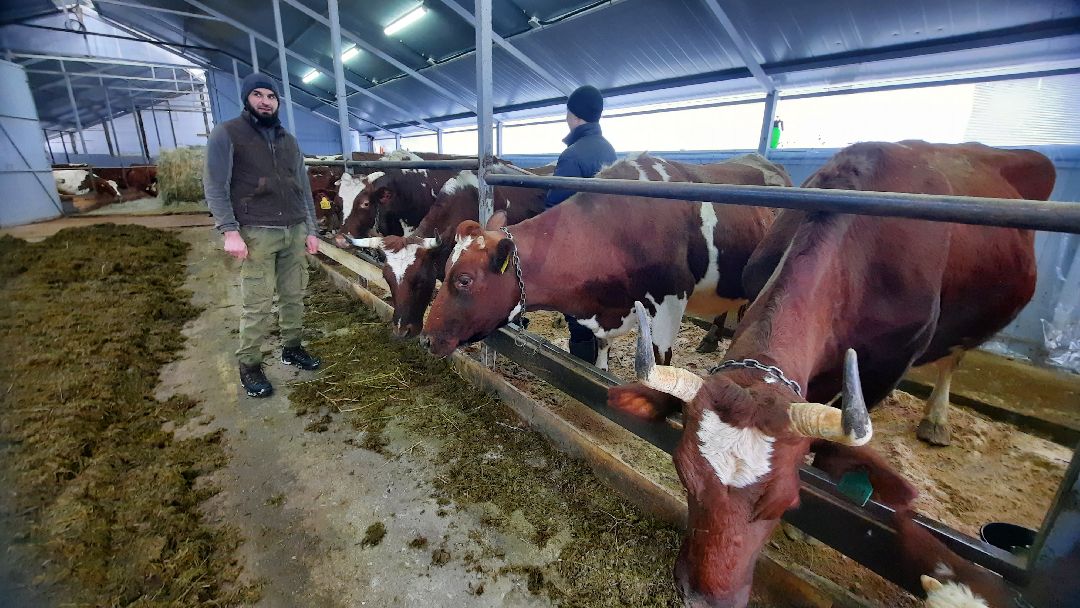 Наро-Фоминск, Сельское хозяйство, Тахир Джаппуев, фермер, грант, бизнес