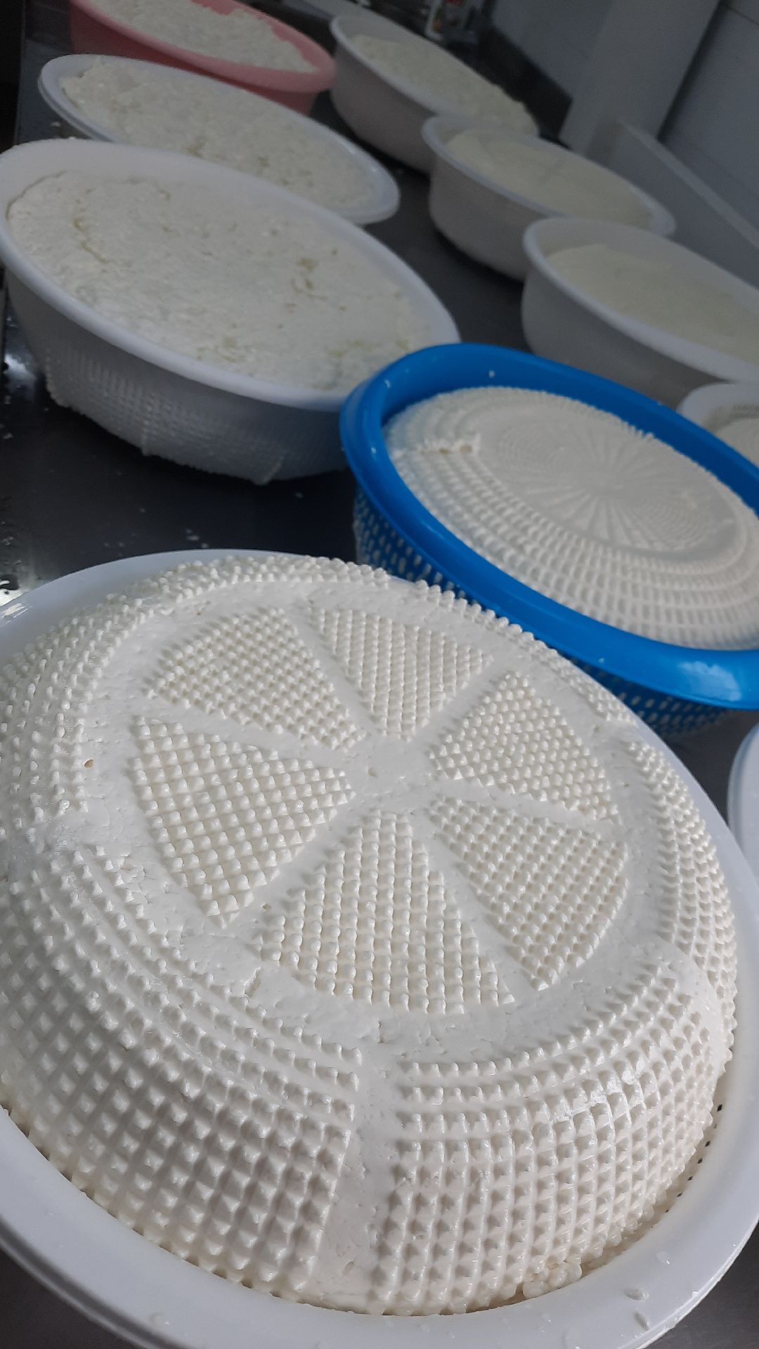 Наро-Фоминск, Сельское хозяйство, Тахир Джаппуев, фермер, грант, бизнес