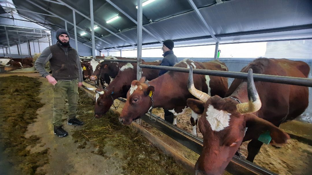 Наро-Фоминск, Сельское хозяйство, Тахир Джаппуев, фермер, грант, бизнес
