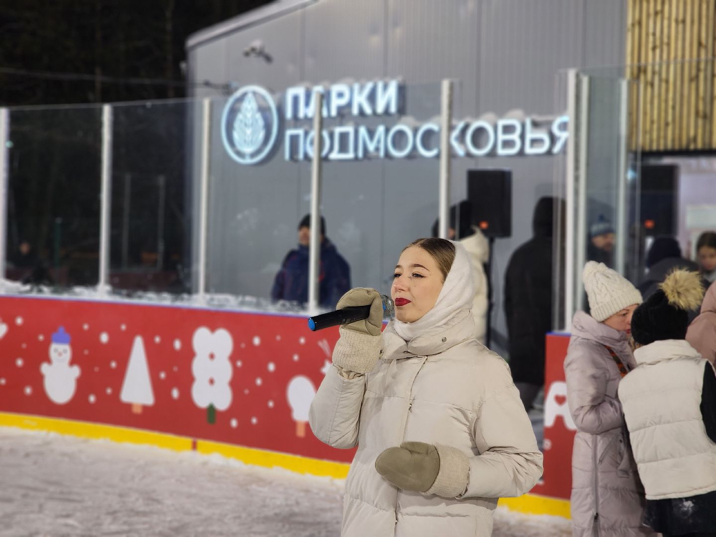 серпухов, каток, парк питомник, зима в подмосковье, коньки,