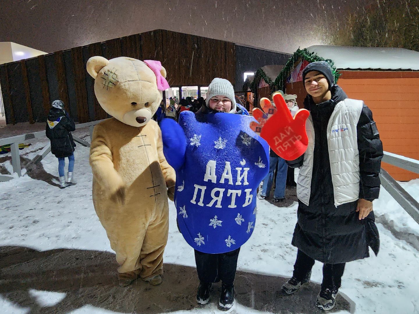 серпухов, каток, парк питомник, зима в подмосковье, коньки,