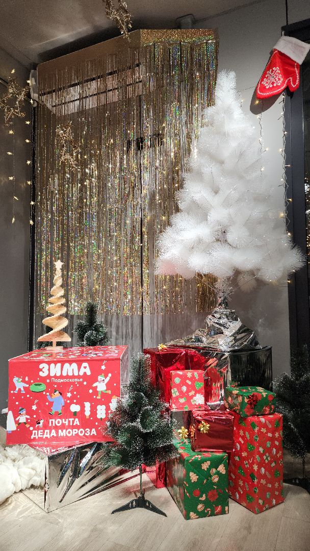зима, зима 2024, зима в подмосковье, зимавподмосковье, зимавподмосковье2024, электросталь, праздник, парки подмосковья, дед мороз, дедмороз, дедушка мороз, снегурочка, зимний сезон, зимний период,