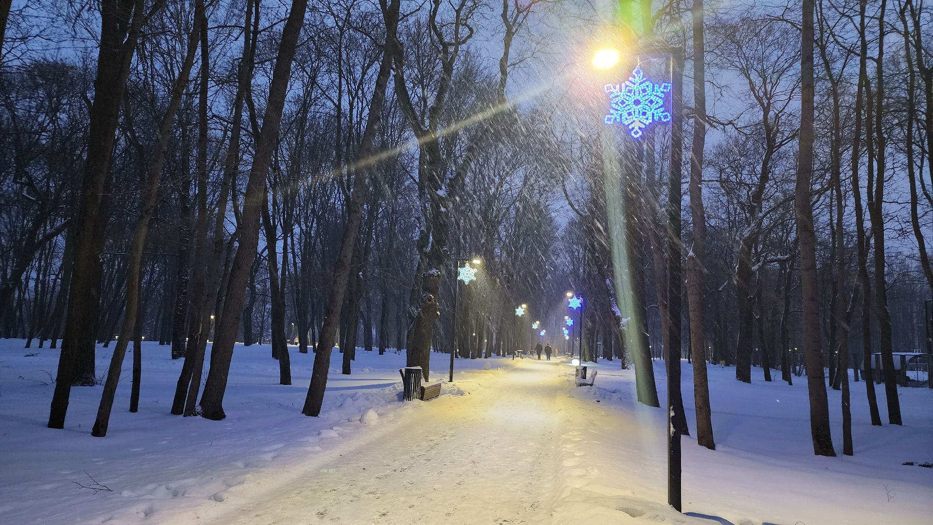 зима в Подмосковье, открытие зимнего сезона, парки подмосковья, Лосино-Петровский,