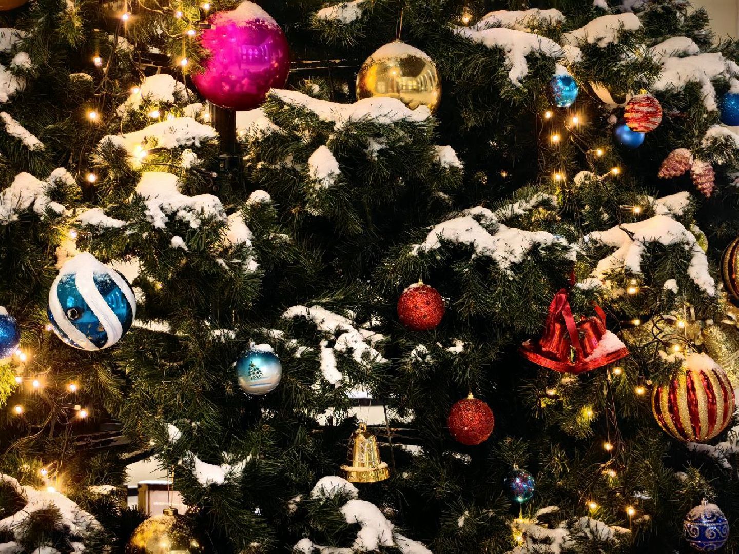 зимний сезон, открытие сезона, праздник, парк, дракон, ёлка,