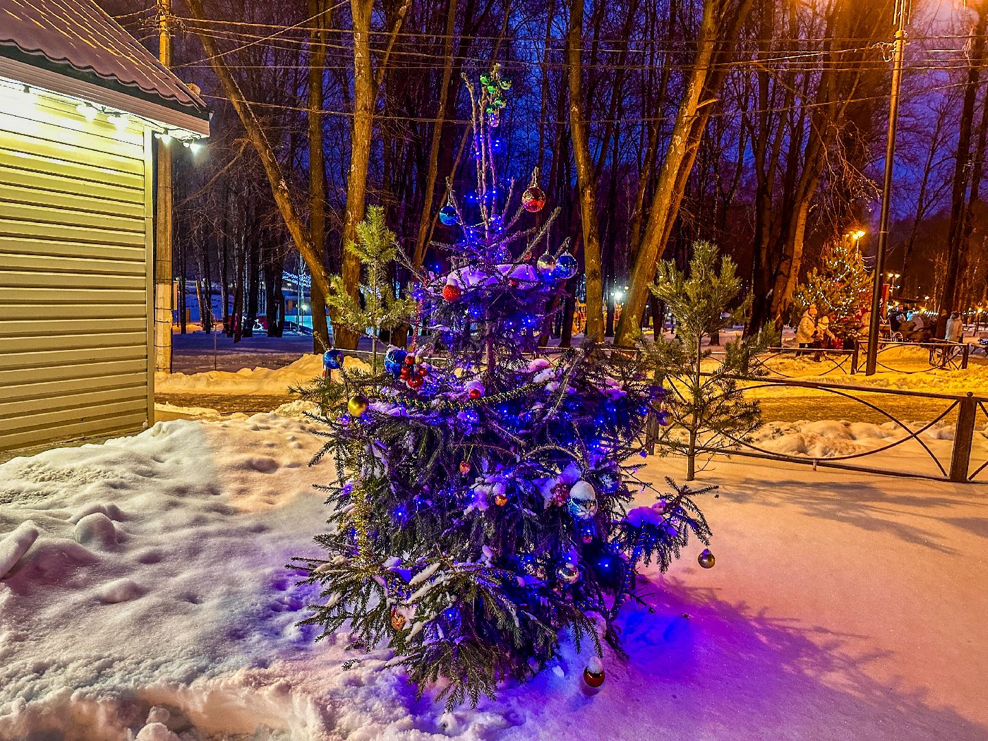 Клин, общество, культура, зима, зима в подмосковье,