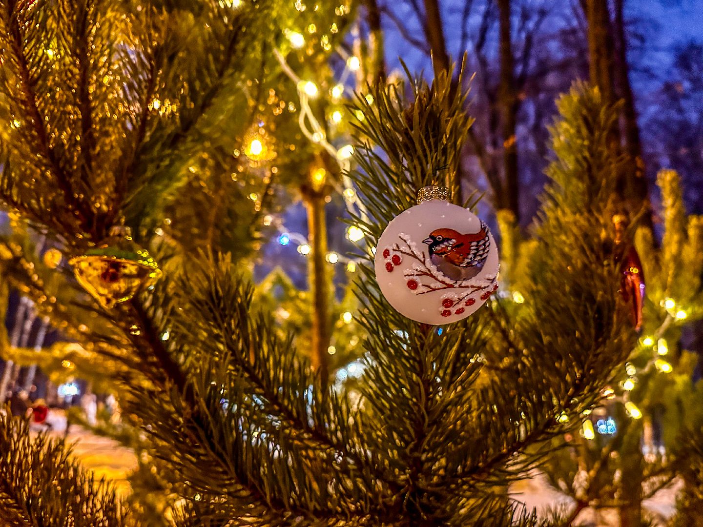 Клин, общество, культура, зима, зима в подмосковье,