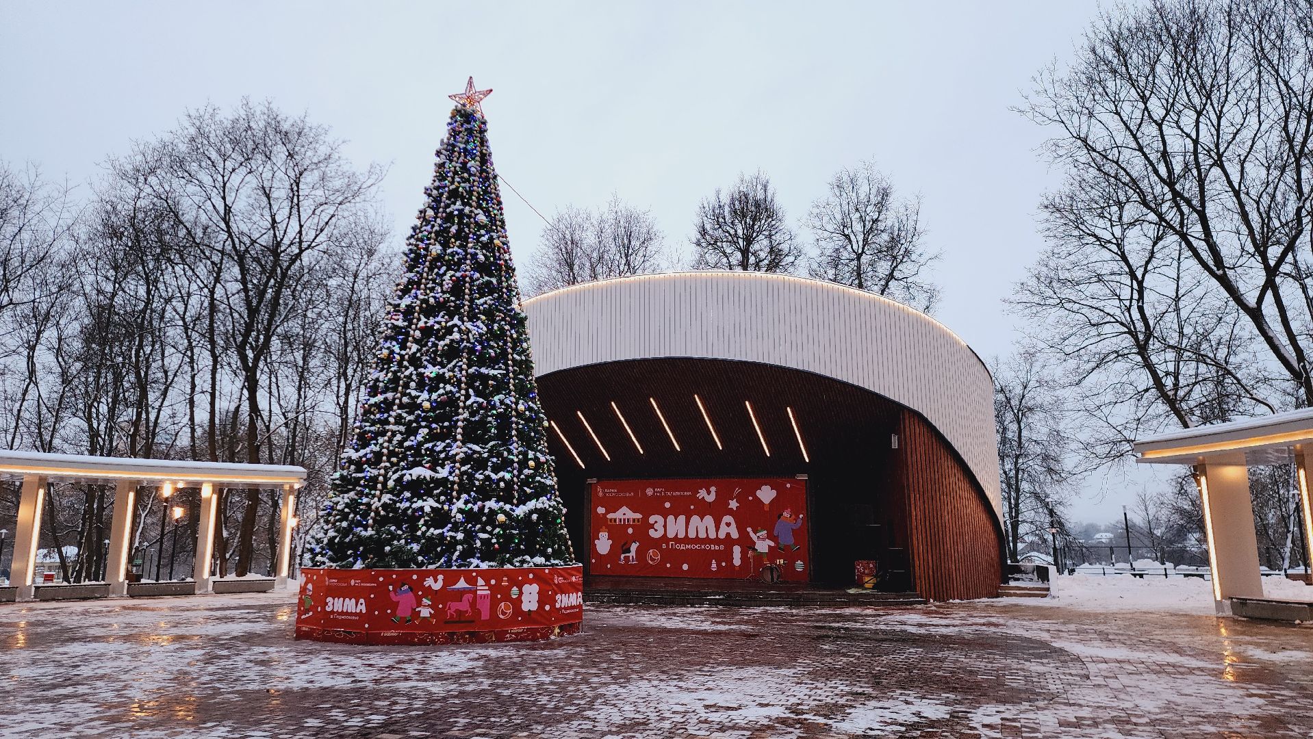 подольск, новогодняя акция,