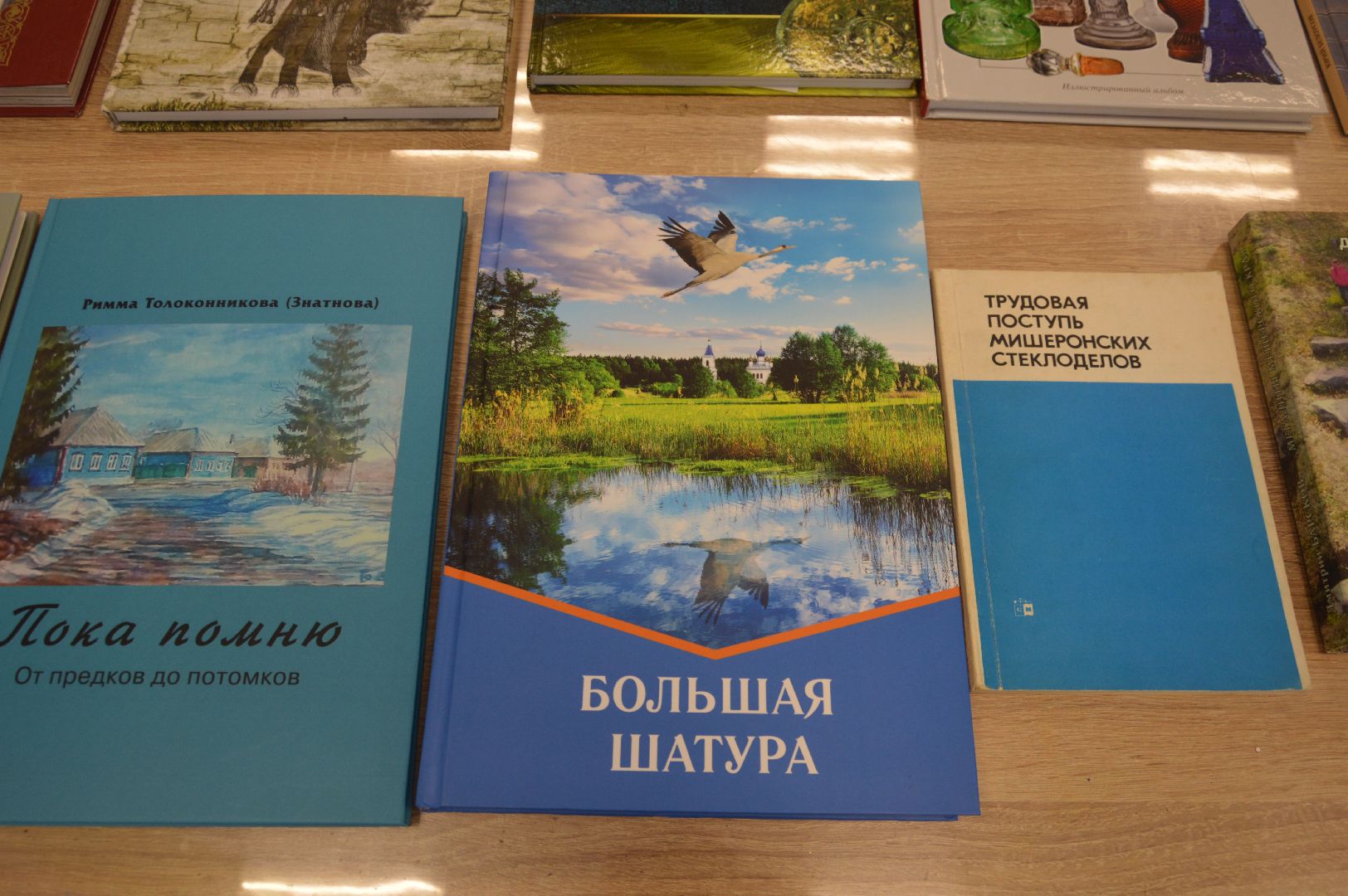 шатура, городской округ культура, городские библиотеки, краеведы, днк,