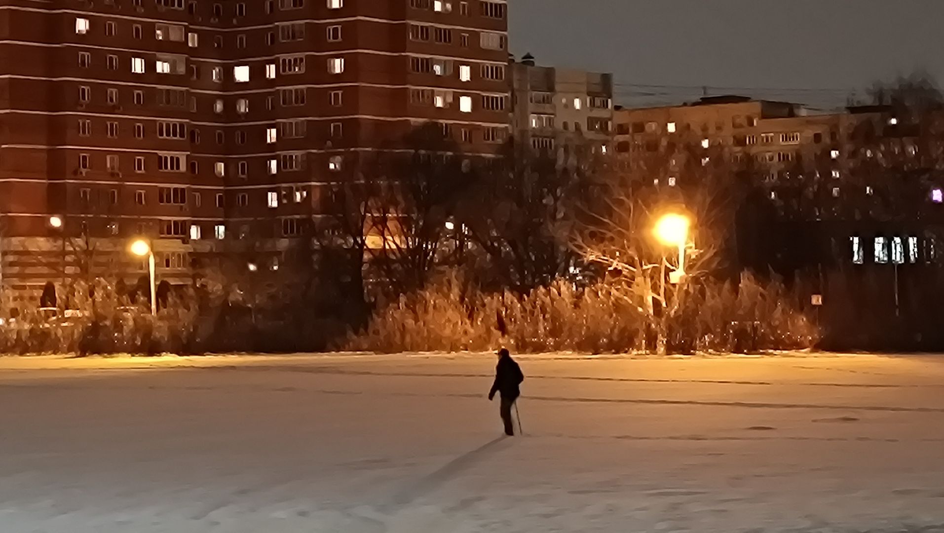 парк, утки, лобня,