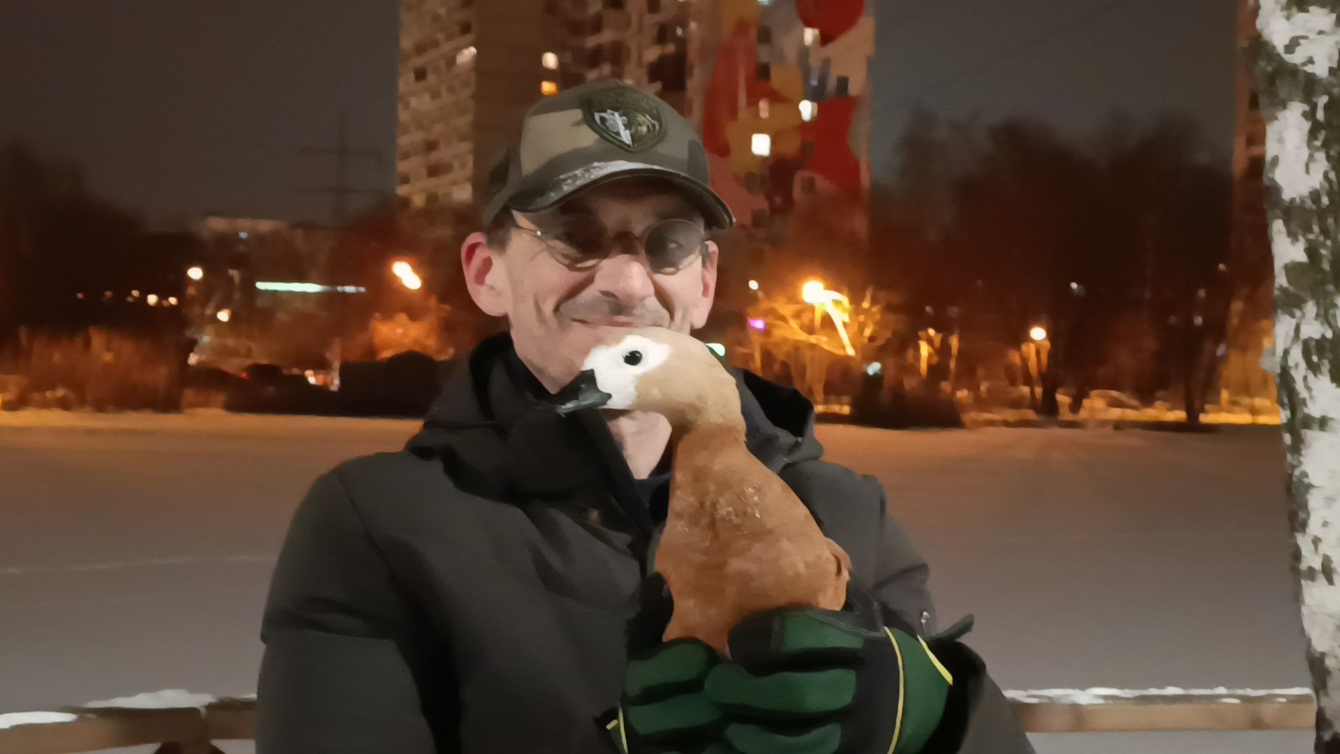 парк, утки, лобня,