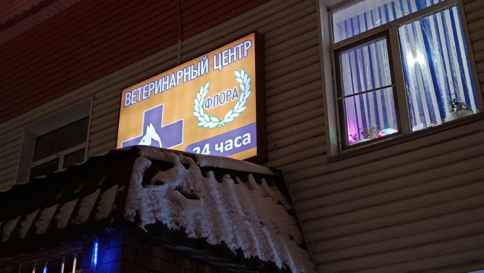 парк, утки, лобня,