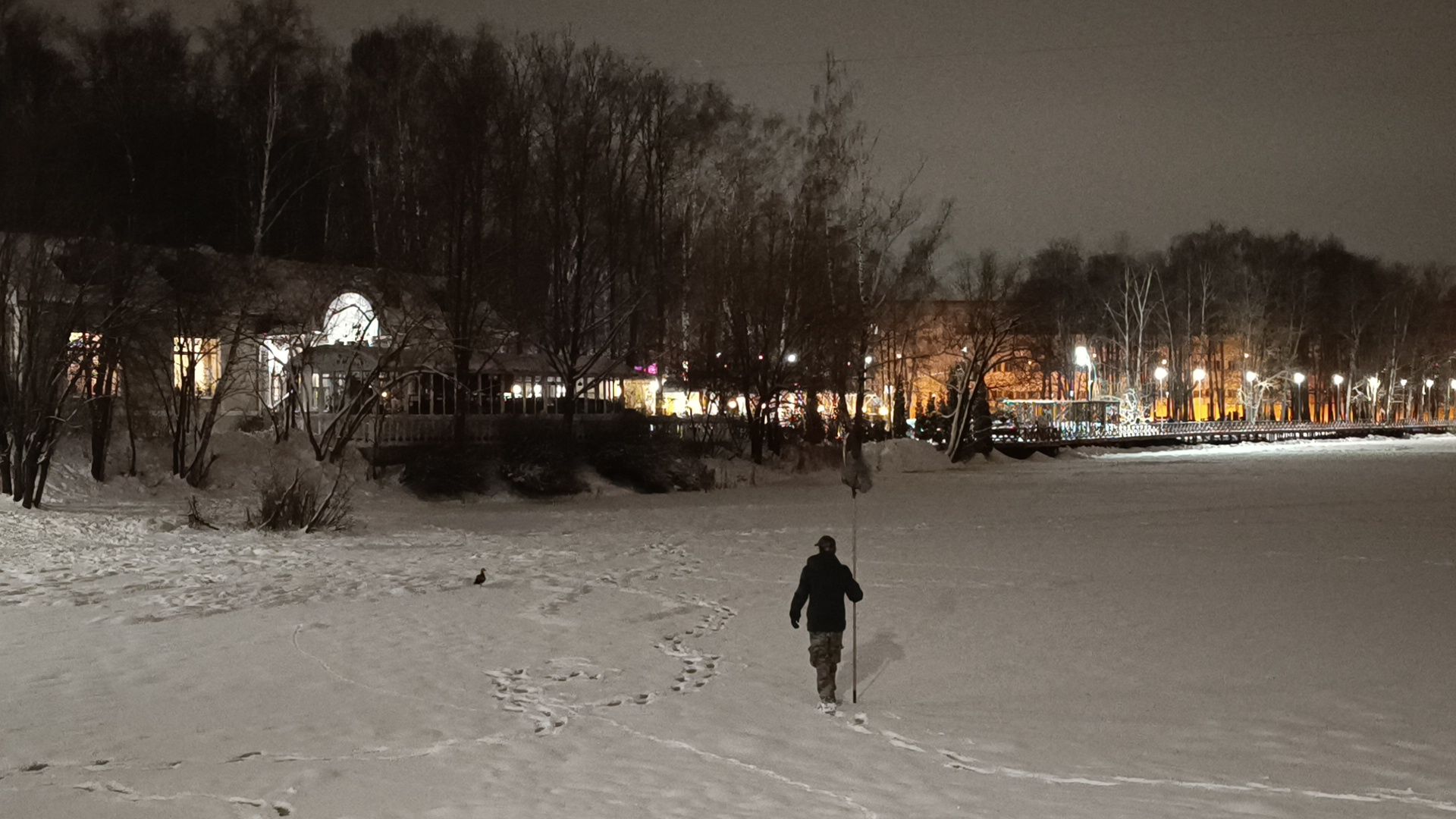 парк, утки, лобня,