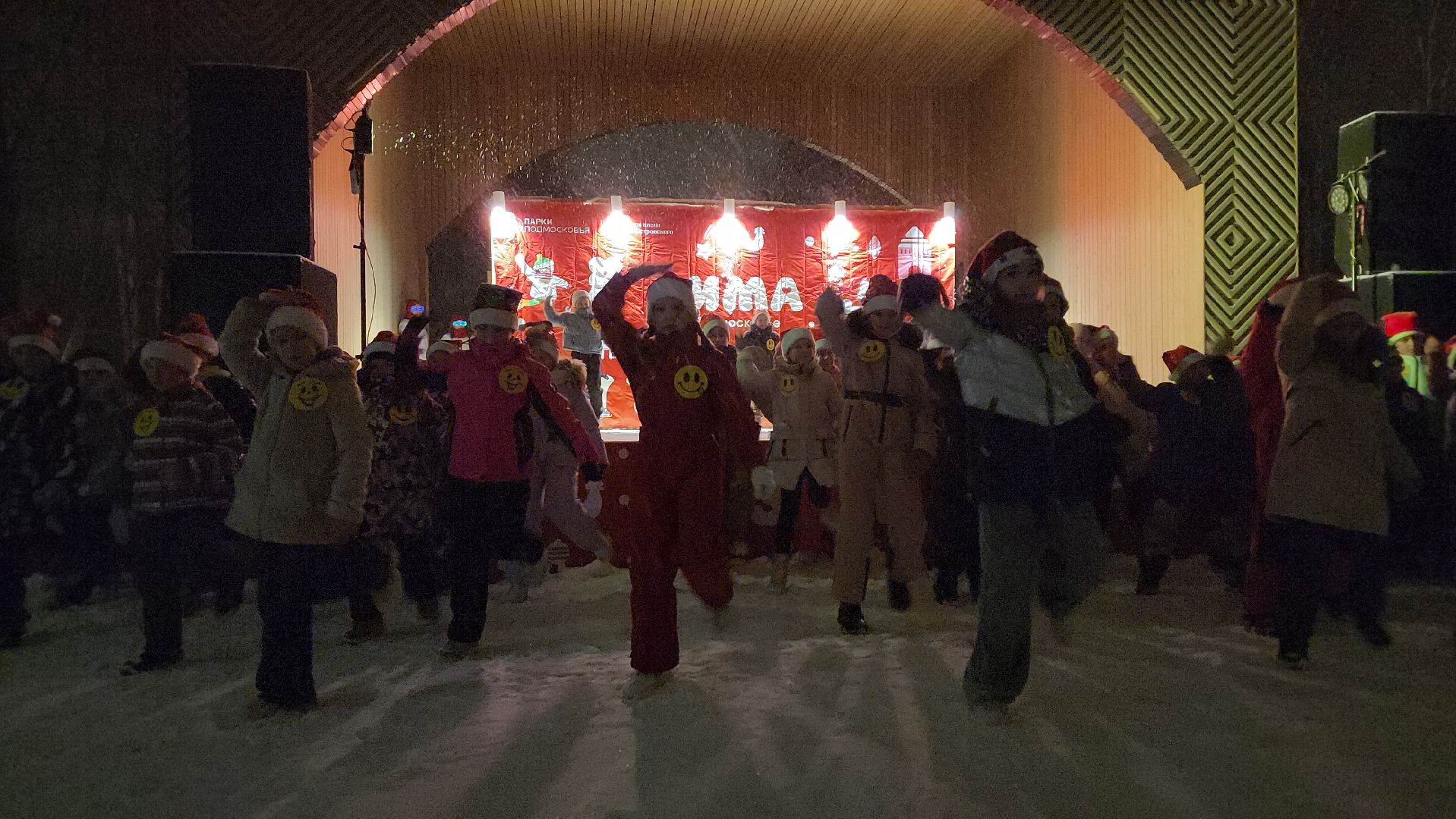 ступино, зима в подмосковье, резиденция деда мороза,