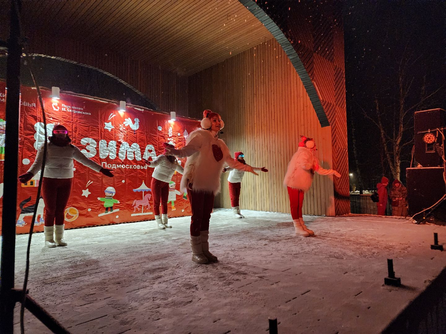 ступино, зима в подмосковье, резиденция деда мороза,