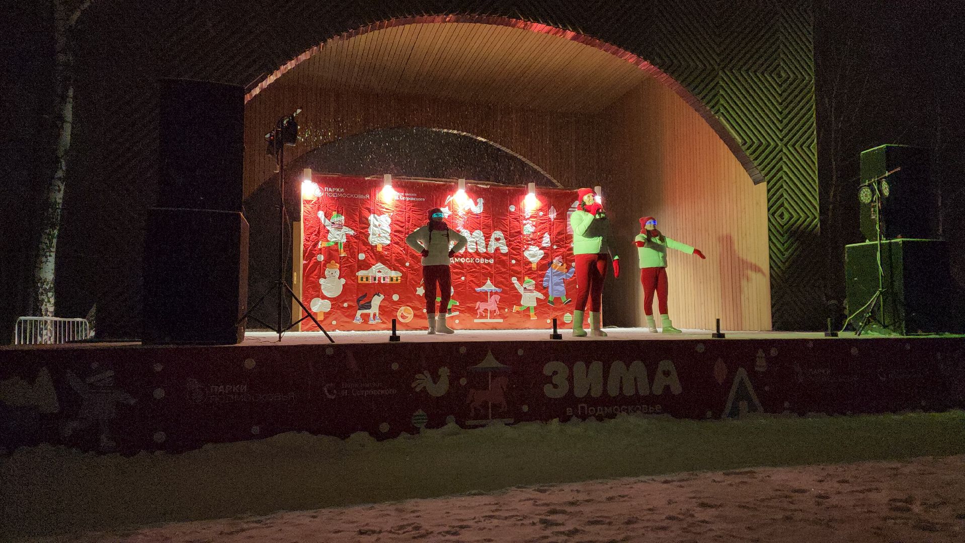 ступино, зима в подмосковье, резиденция деда мороза,