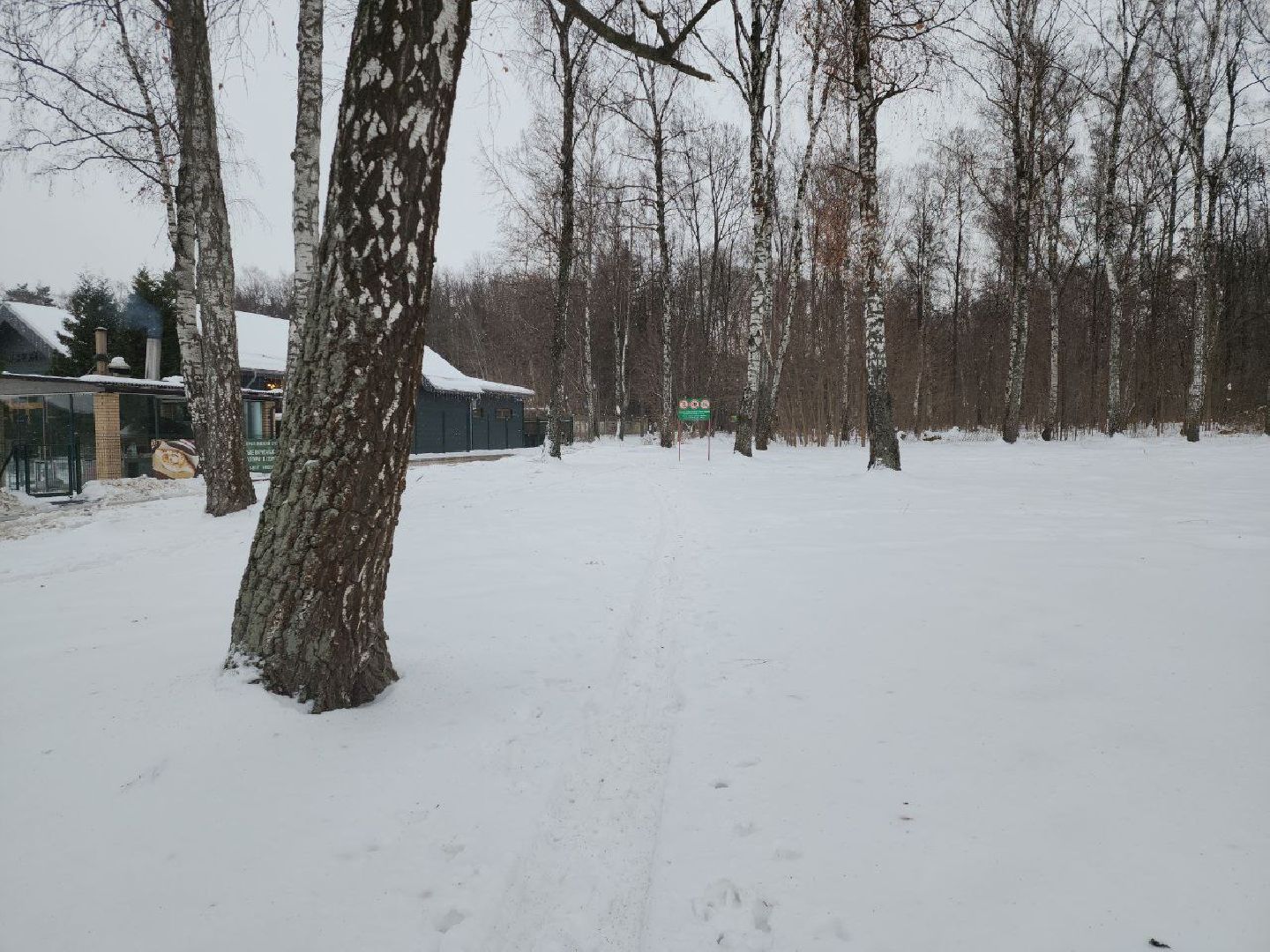 лыжня, спорт подмосковья, зимний сезон, зима в подмосковье, апаринки, видное,