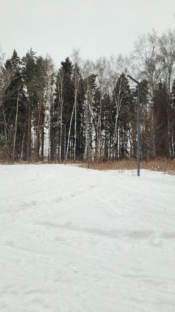 лыжня, спорт подмосковья, зимний сезон, зима в подмосковье, апаринки, видное,