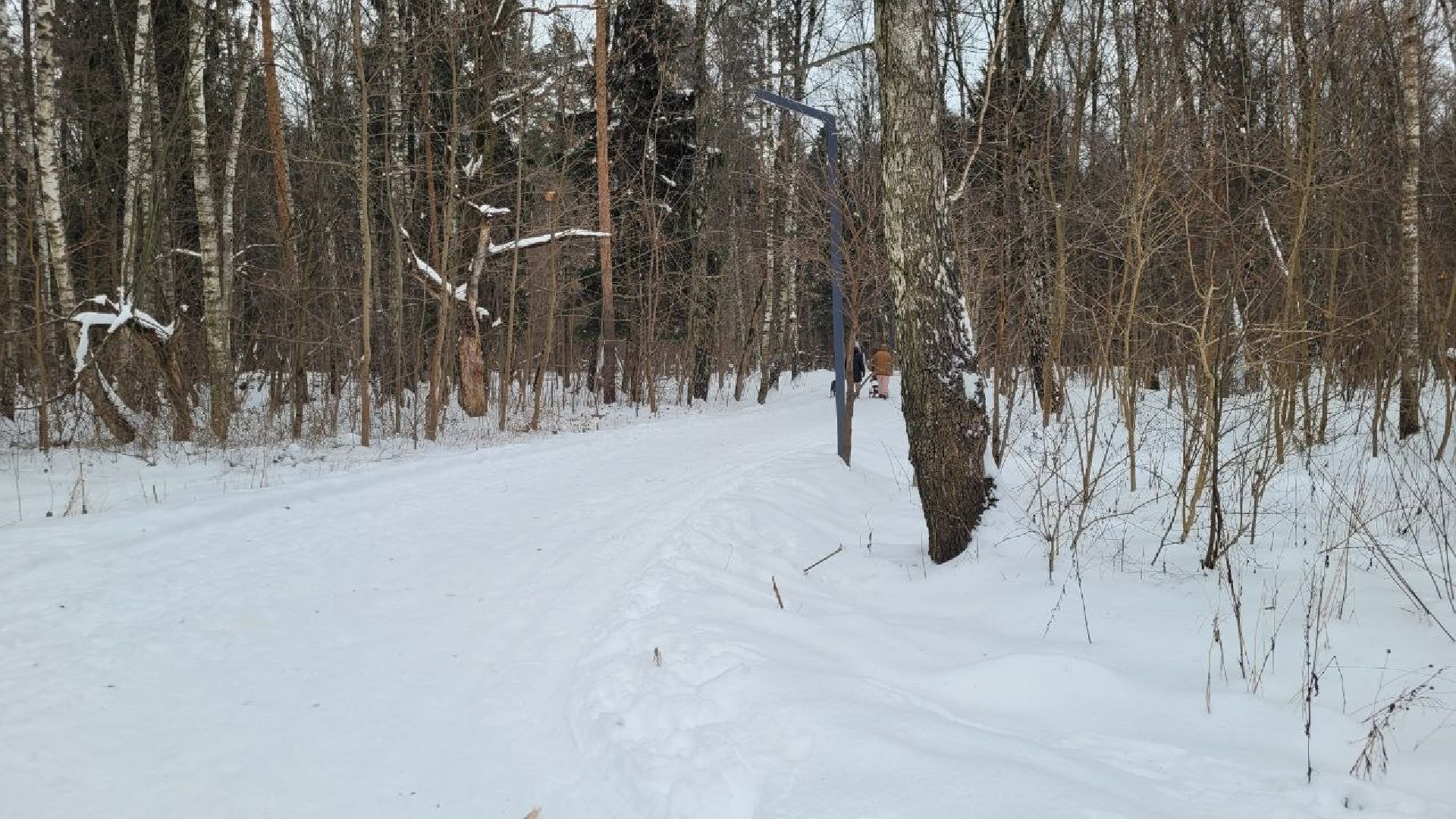 лыжня, спорт подмосковья, зимний сезон, зима в подмосковье, апаринки, видное,