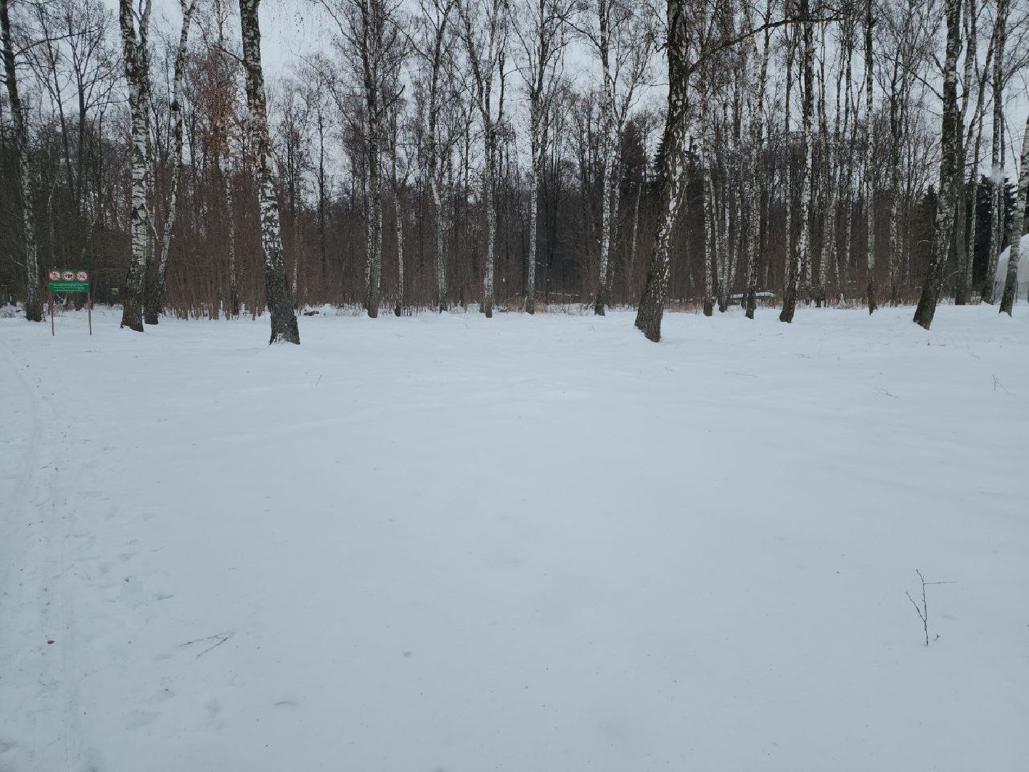 лыжня, спорт подмосковья, зимний сезон, зима в подмосковье, апаринки, видное,