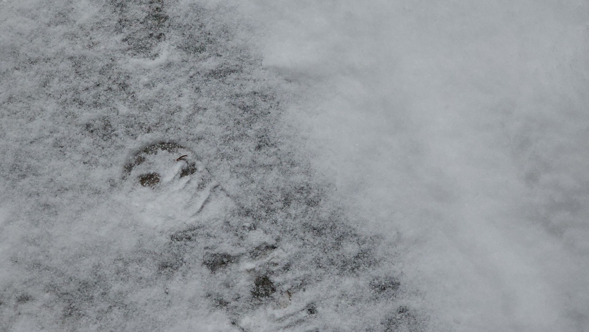 Пушкино, уборка дворов, Уборка снега, Снегопад, Городской округ Пушкинский,