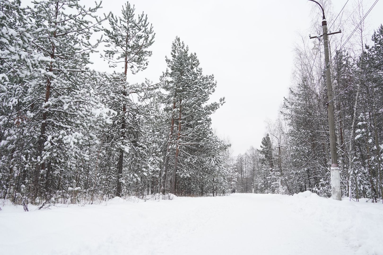 Рошаль, снегоуборка, снегоуборочная техника, СДХиБ, Большая Шатура,