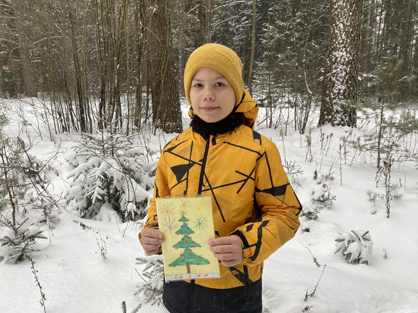 волоколамск, лес,лесничий, дед мороз, почта деда мороза, почта деду морозу,