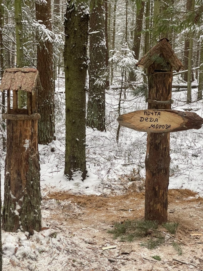 волоколамск, лес,лесничий, дед мороз, почта деда мороза, почта деду морозу,