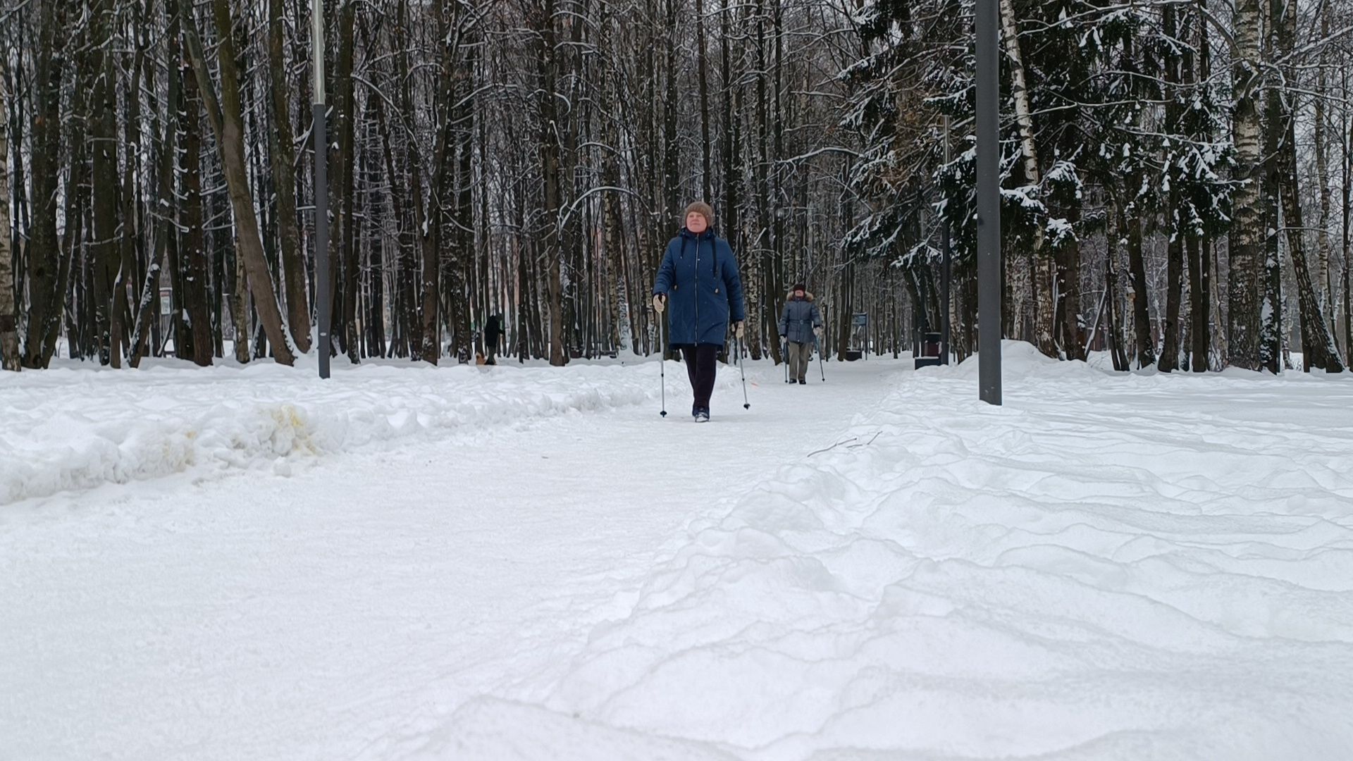 лобня, спорт, бег, 5 верст, парк,