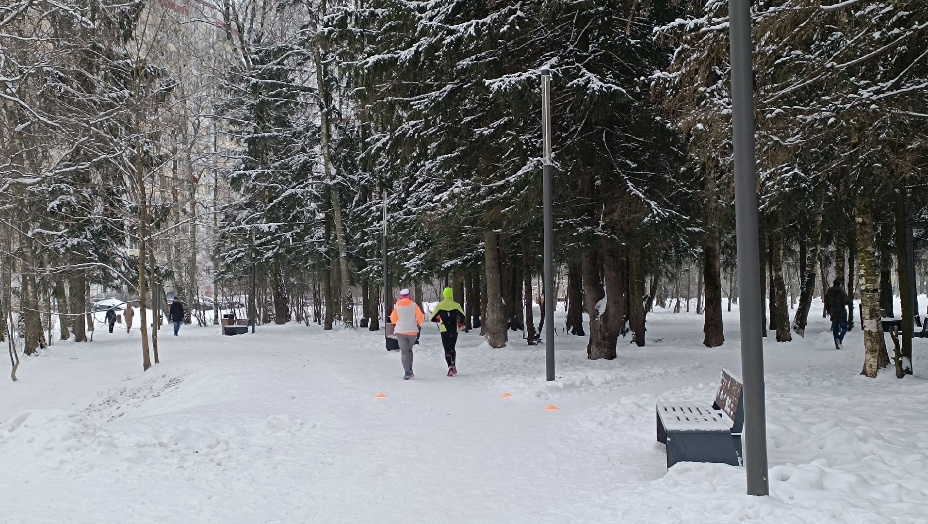 лобня, спорт, бег, 5 верст, парк,