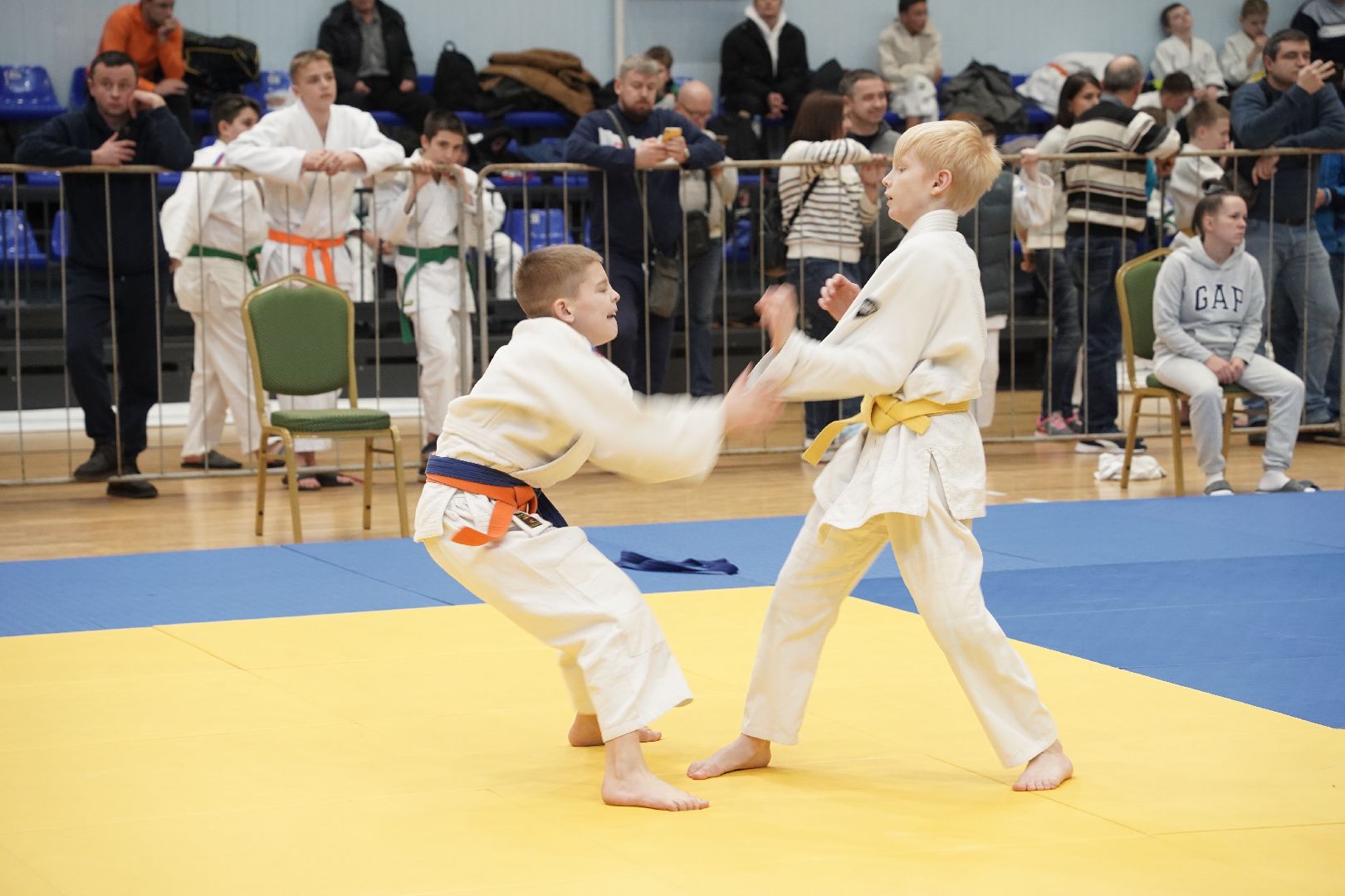 Дзюдо, Рошаль, Большая Шатура, турнир, Долинский турнир,