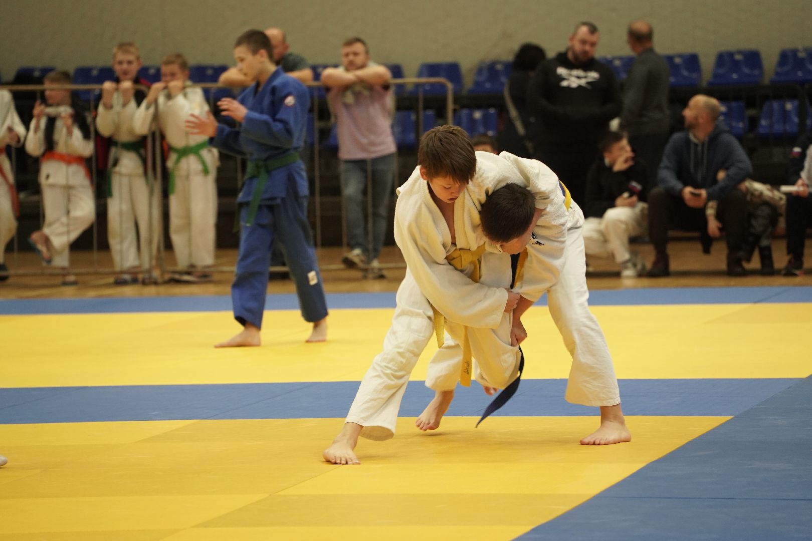 Дзюдо, Рошаль, Большая Шатура, турнир, Долинский турнир,