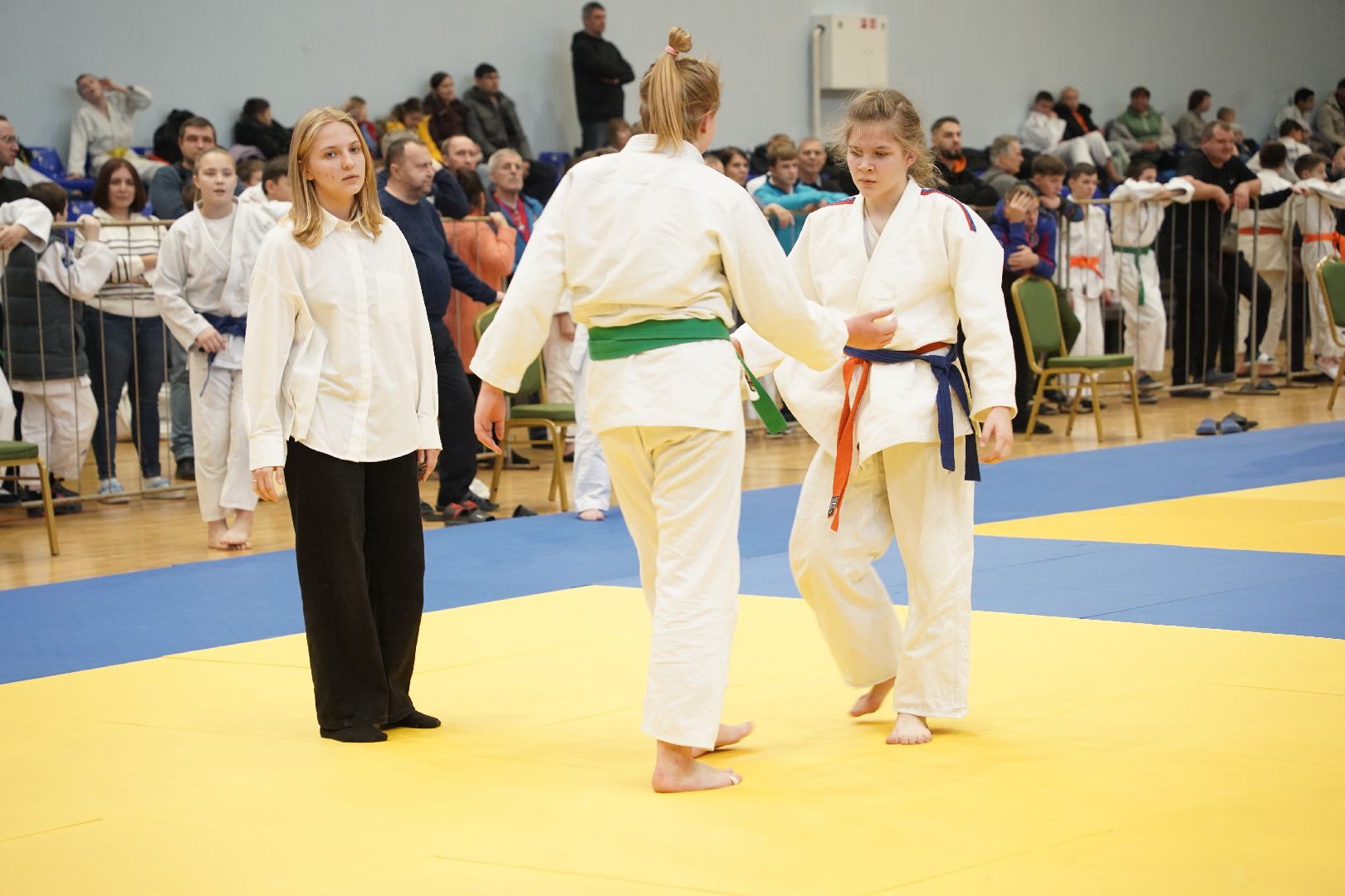 Дзюдо, Рошаль, Большая Шатура, турнир, Долинский турнир,