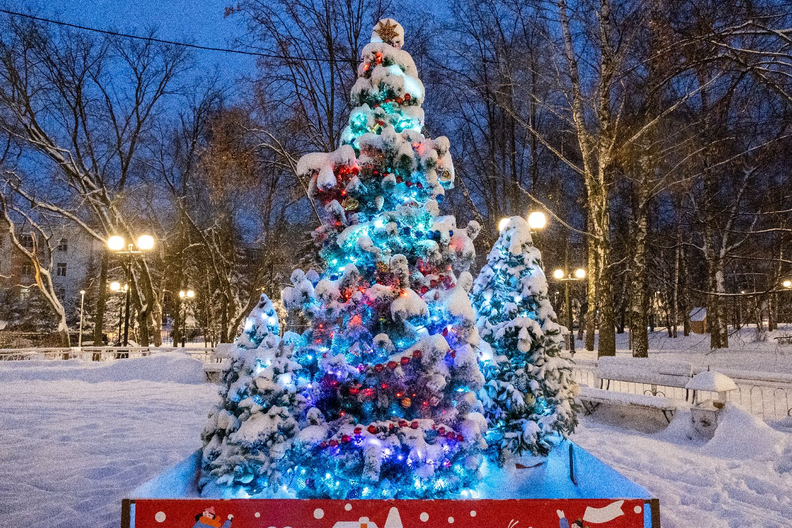 лыткарино, елки, горки,