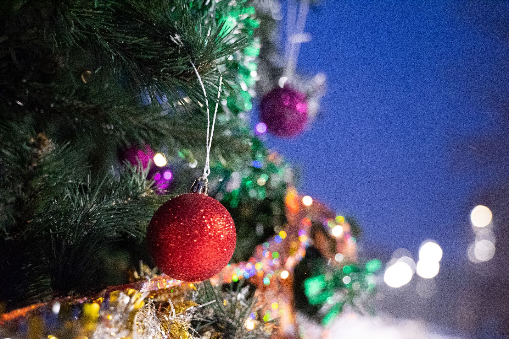 лыткарино, елки, горки,