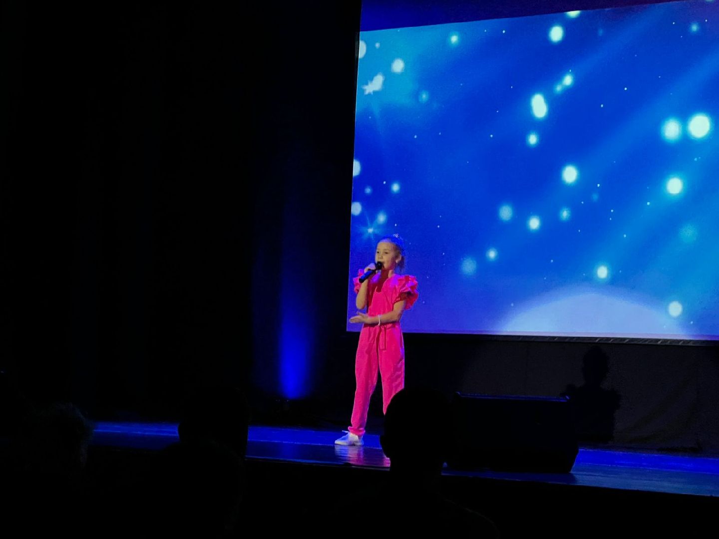 химки, концерт, инвалид, день инвалида, доступная среда,