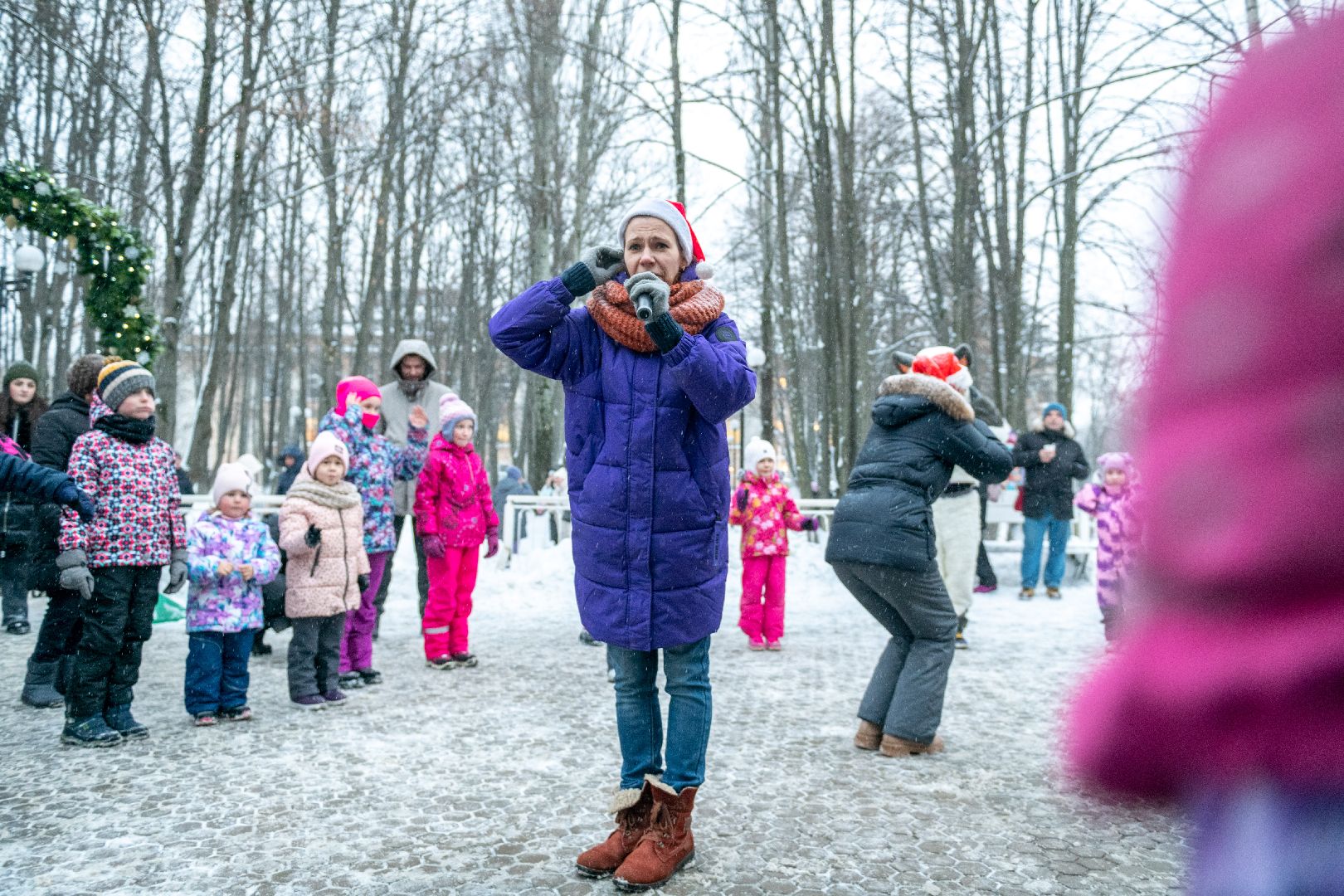 лыткарино, парк, зима в подмосковье,