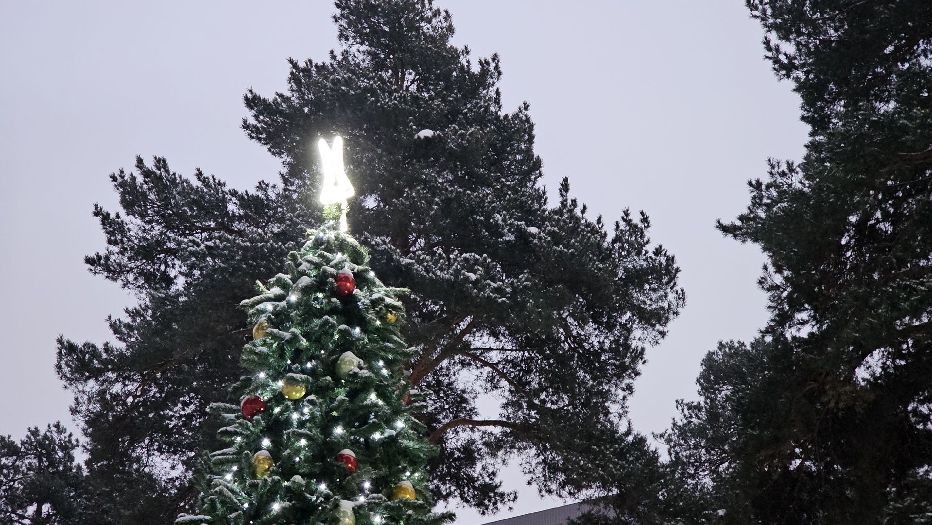 зима в подмосковье, новый год, открытие сезона,