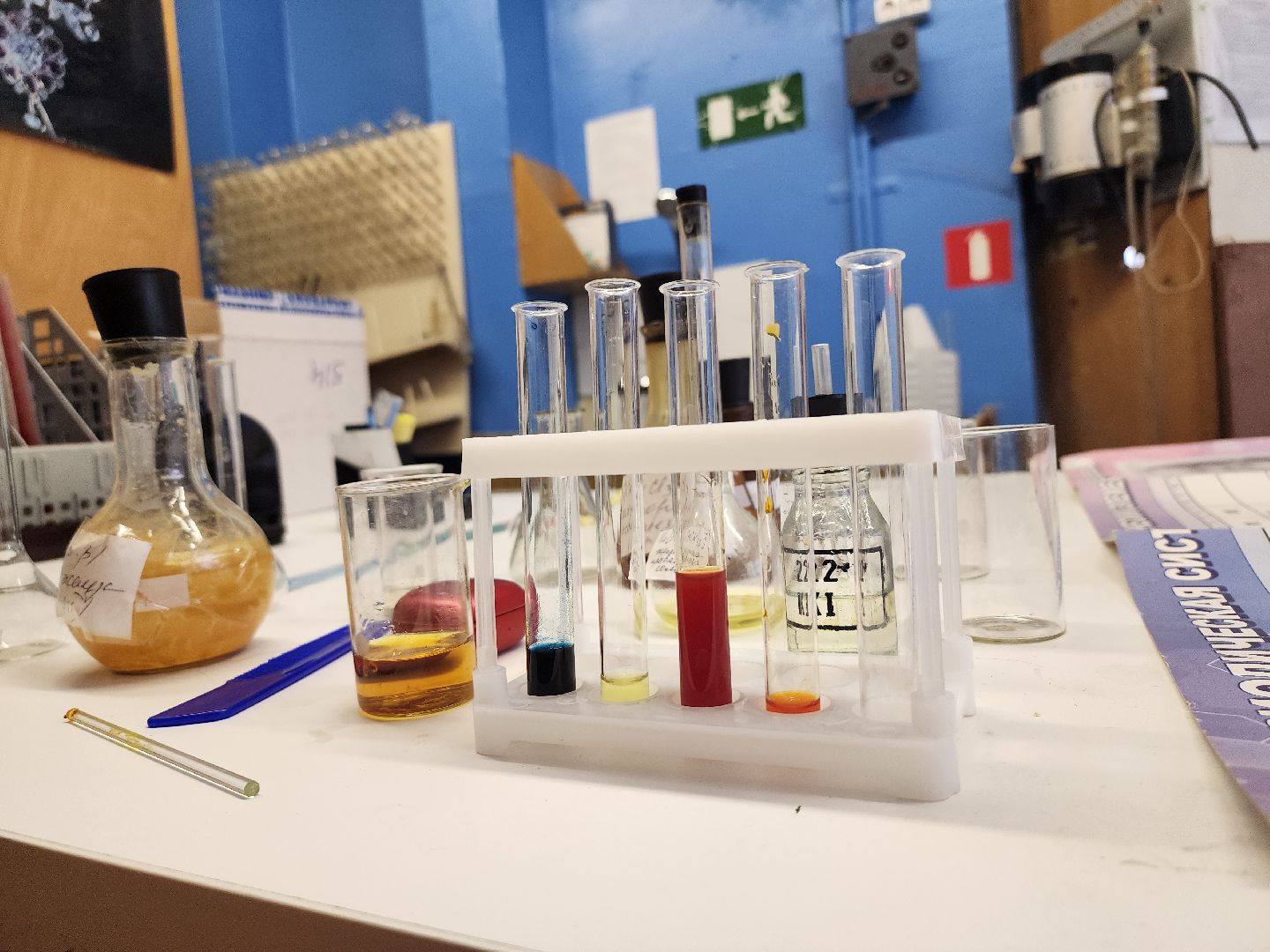 образование, центр образования, дети, Зеленый, Богородский городской округ,