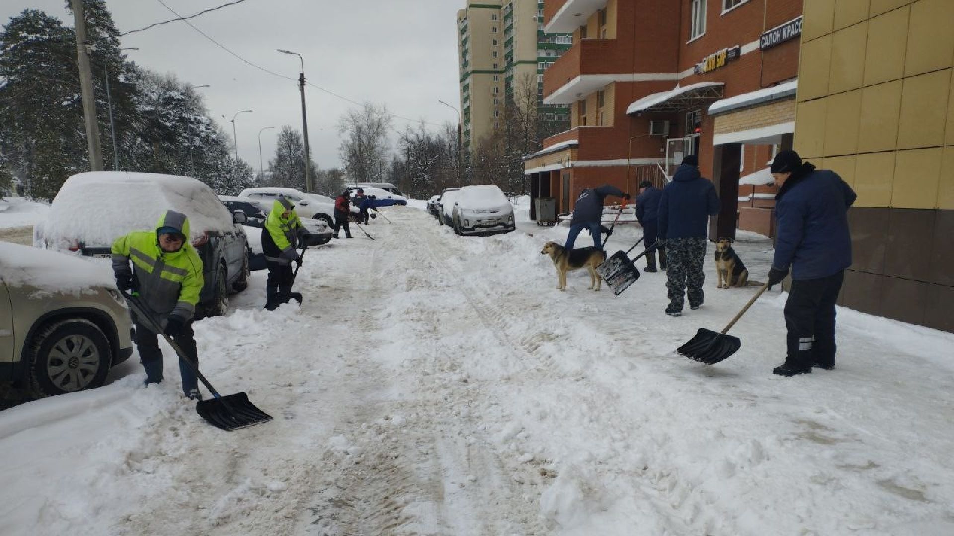погода, снегопад, коммунальные служба, Лосино-Петровский,