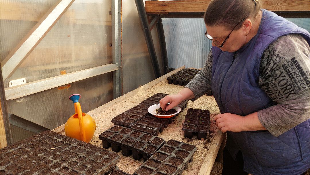 благоустройство, цветы, город, озеленение