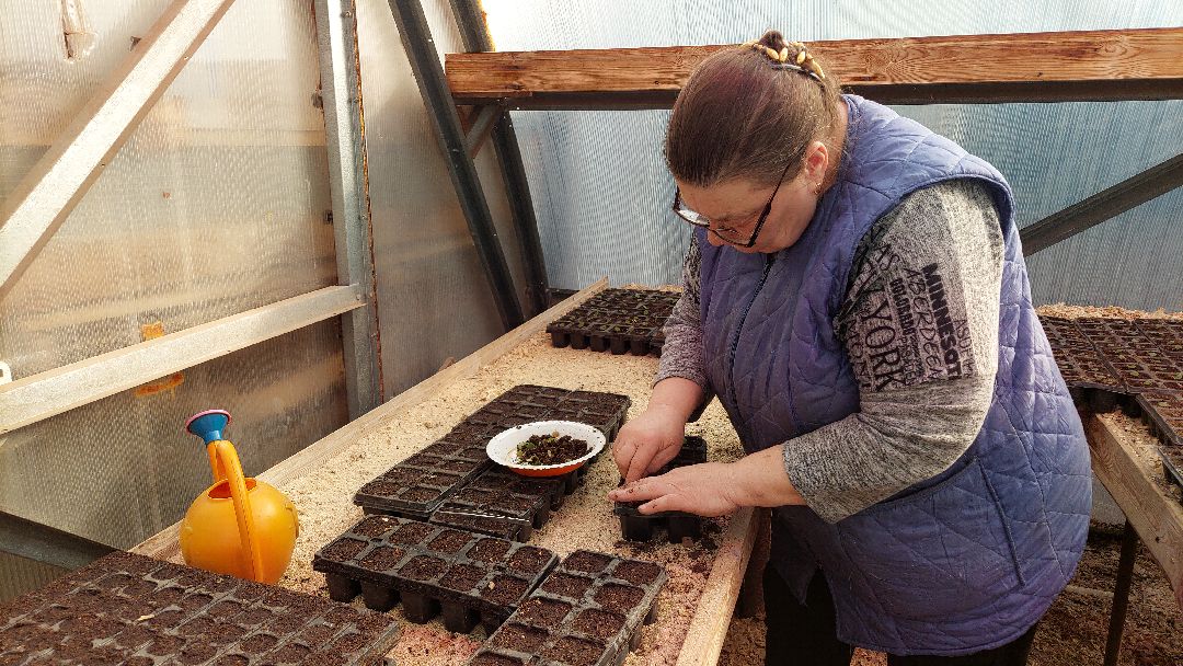 благоустройство, цветы, город, озеленение