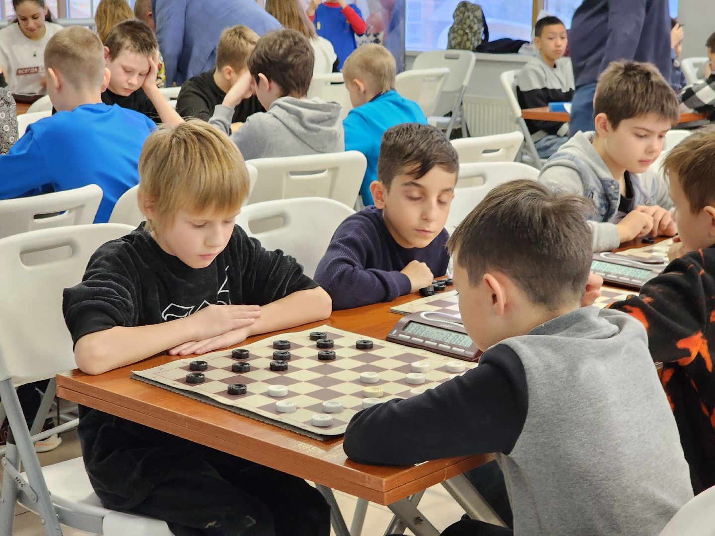 спорт, шашки, щёлково, первенство московской области,