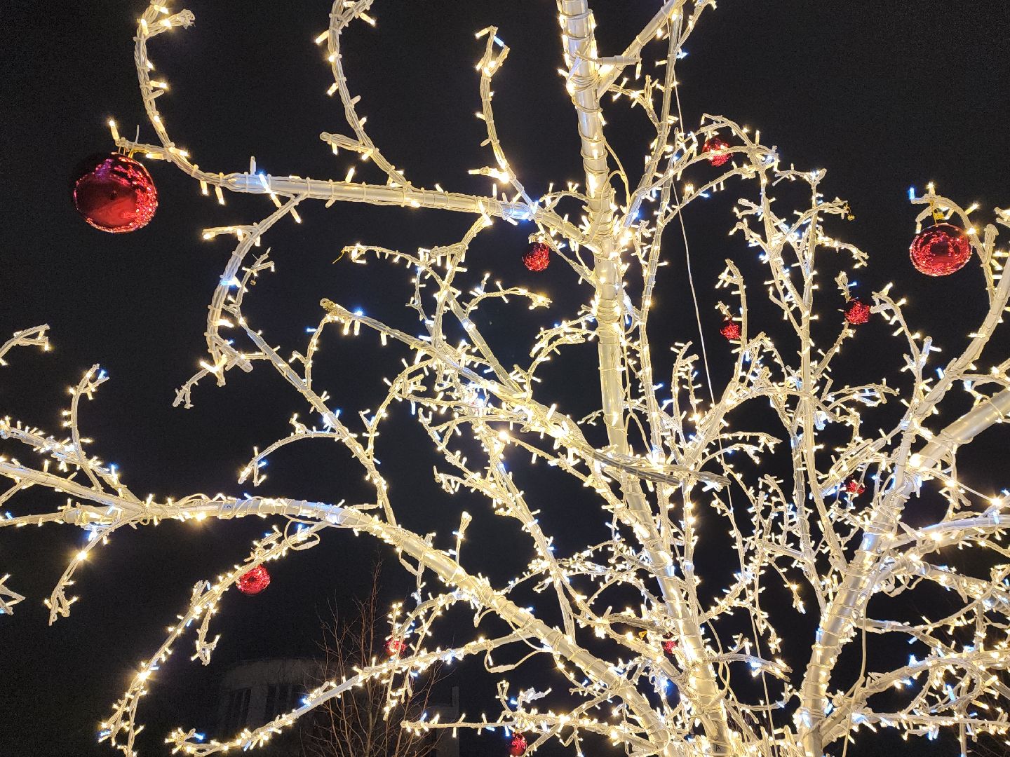 коломна, благоустройство, новый год,