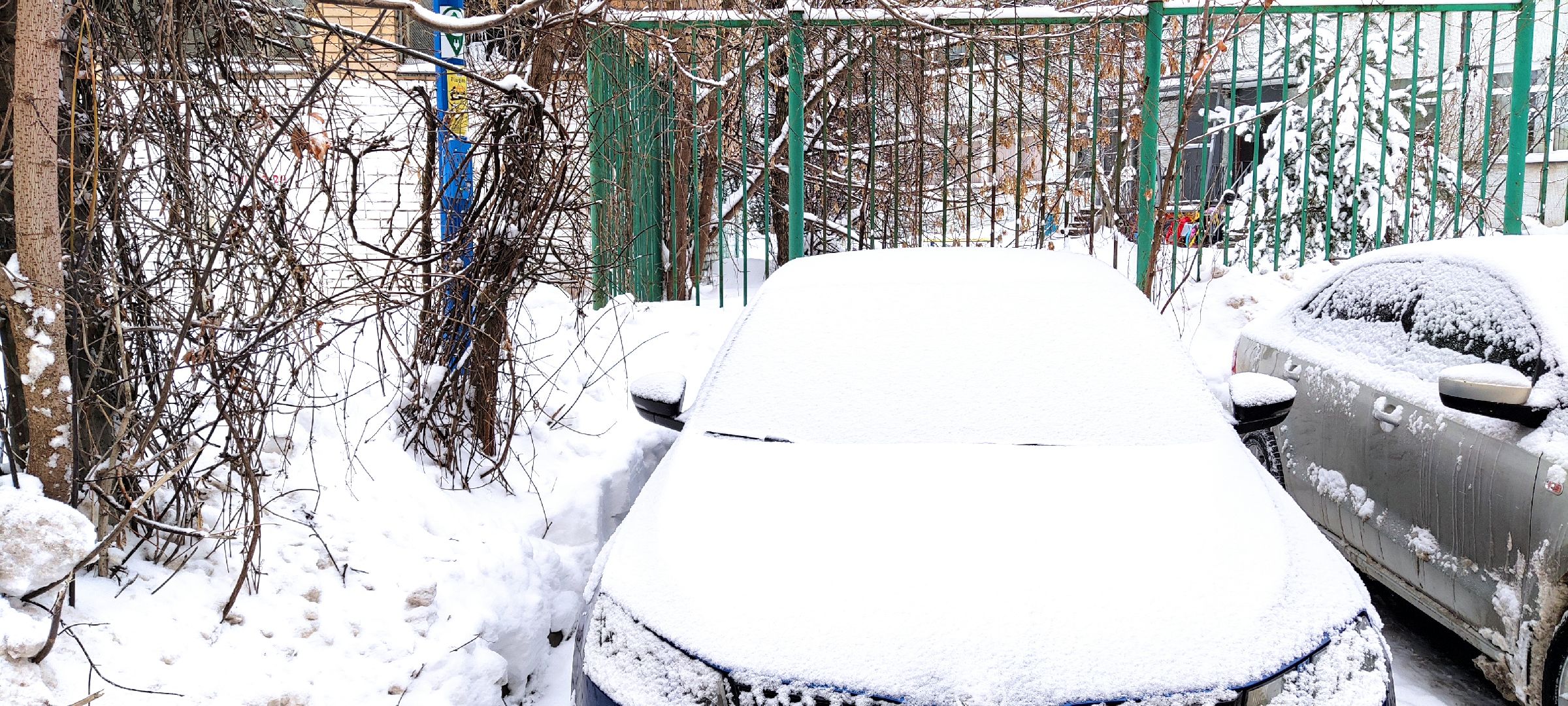 красногорск, автомобили, московская область,