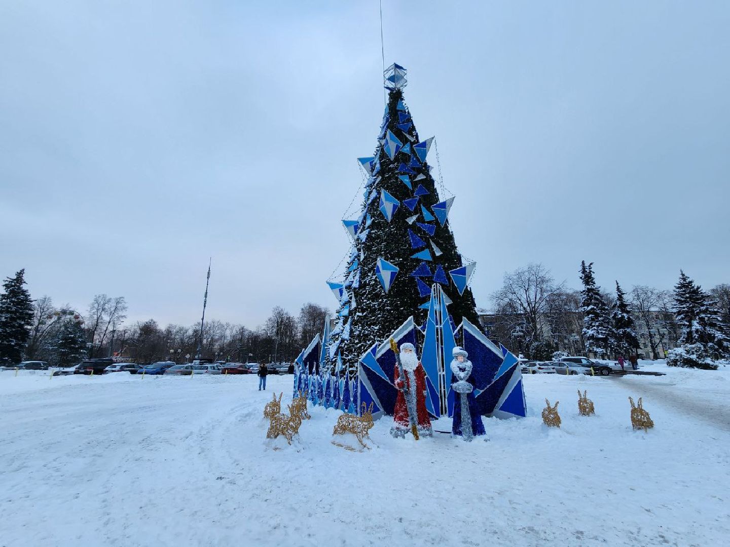 мытищи, зима в подмосковье, ёлка, новый год, администрация,