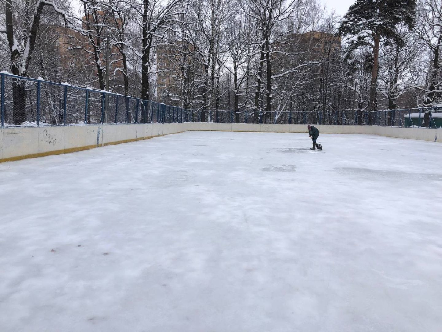 Химки, подмосковье, парки,