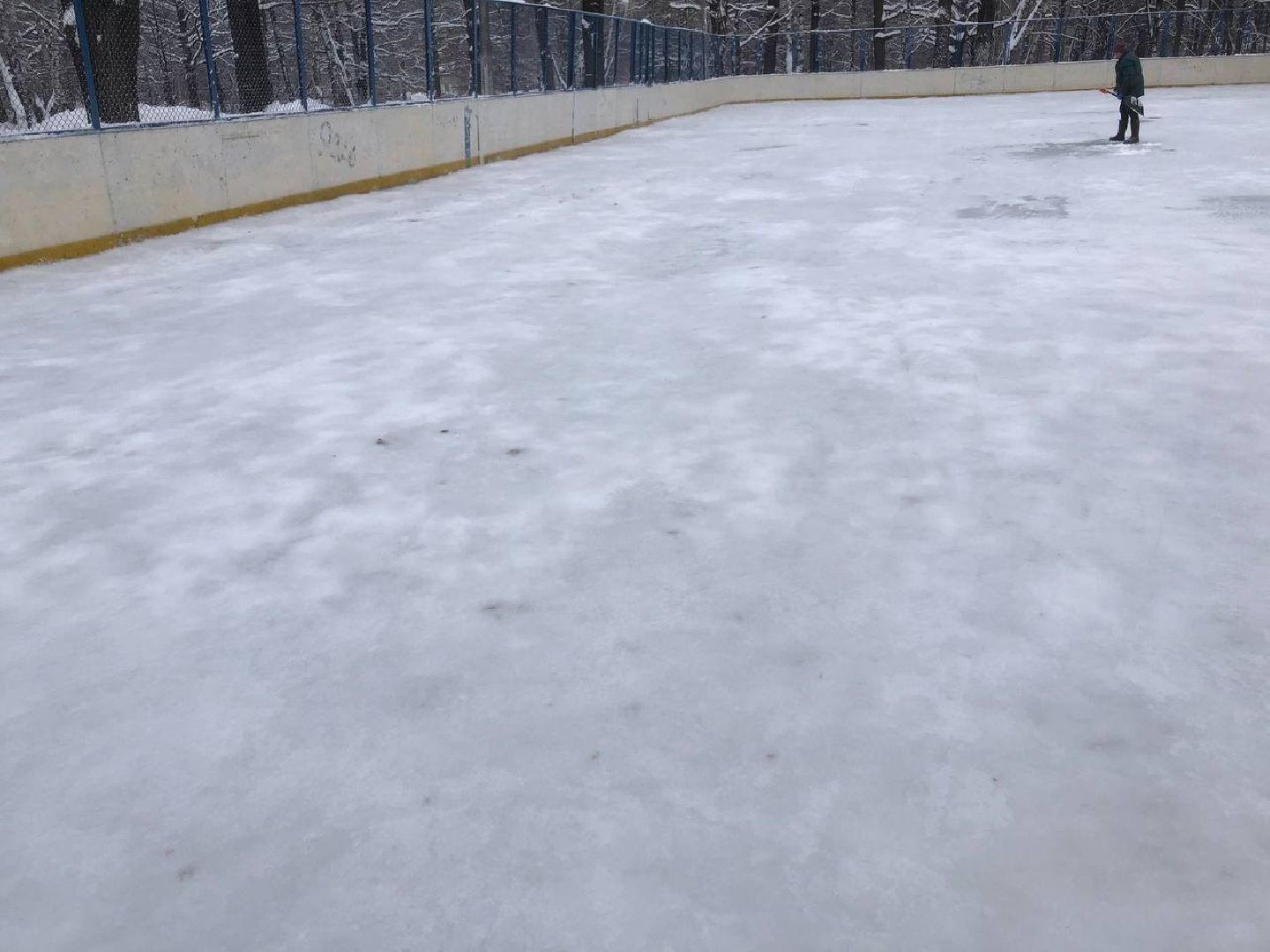 Химки, подмосковье, парки,